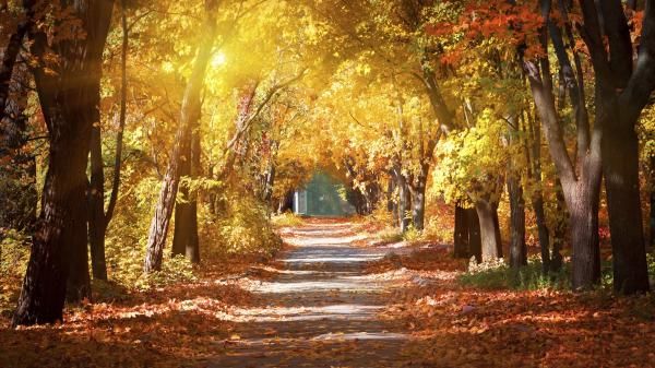 September Light
