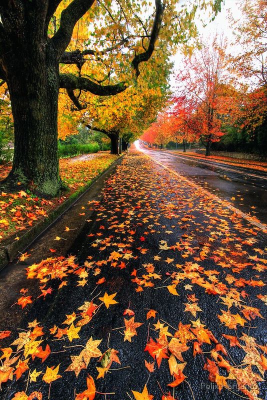 Bright Colours...