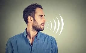 Voice