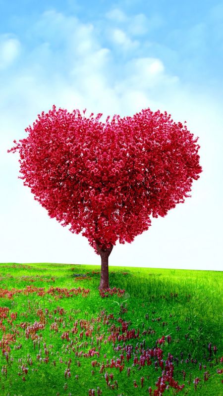 IF EVER LOVE IS TRUE