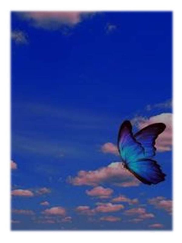BEAT OF WINGS