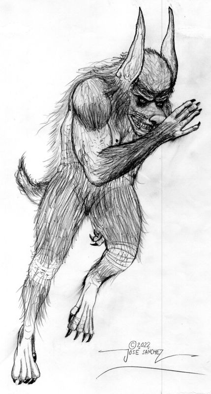 Sketch for "Dogman Running !"