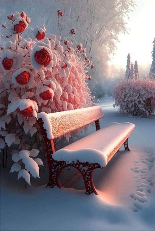Frozen Love