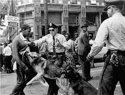 Rampant and endemic police brutality...