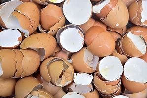 Eggshells