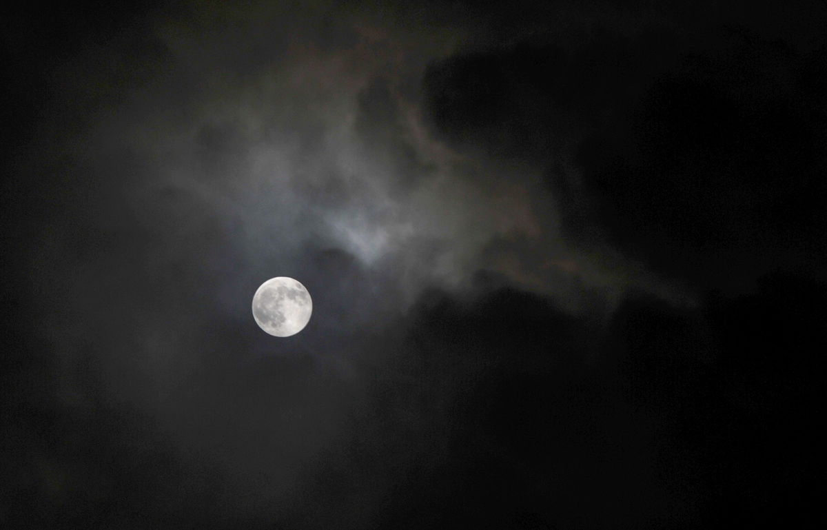 Shady Sky
