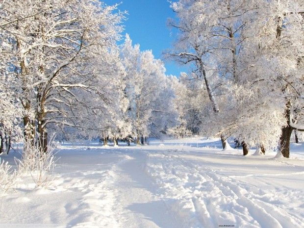 THE QUIET OF WINTER