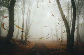 The howling winds of March