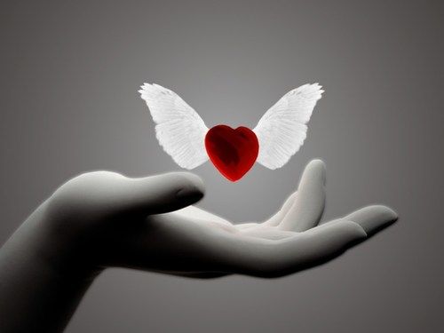 THE POWER OF MY LOVE