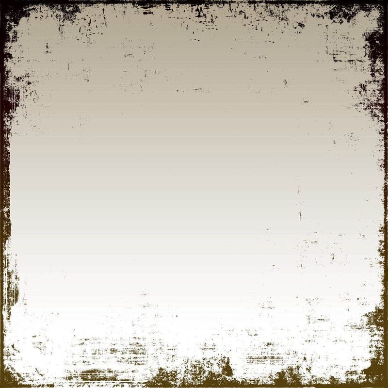 The Mirror