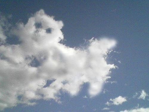 LOST IN THE CLOUDS