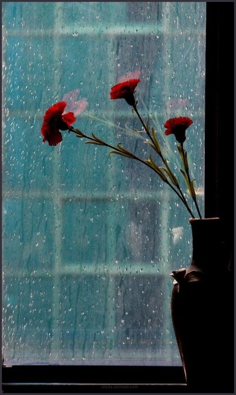 THE SOUND OF RAIN
