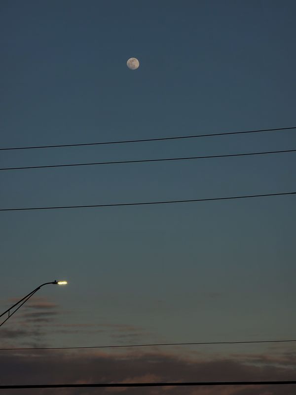The Moon Is Beautiful Isn't It