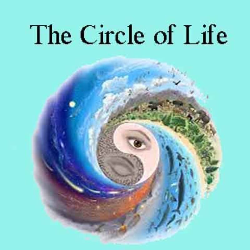 WALKING IN CIRCLES 