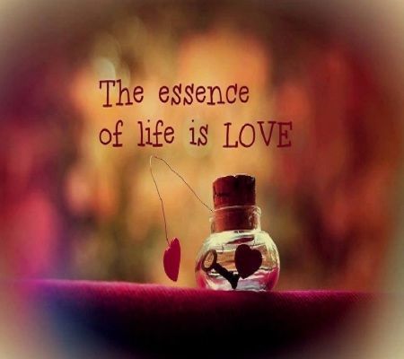 CONSIDER THE GIFT OF LIFE