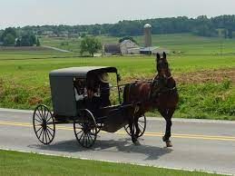 Hierarchical paradigm of the Amish community
