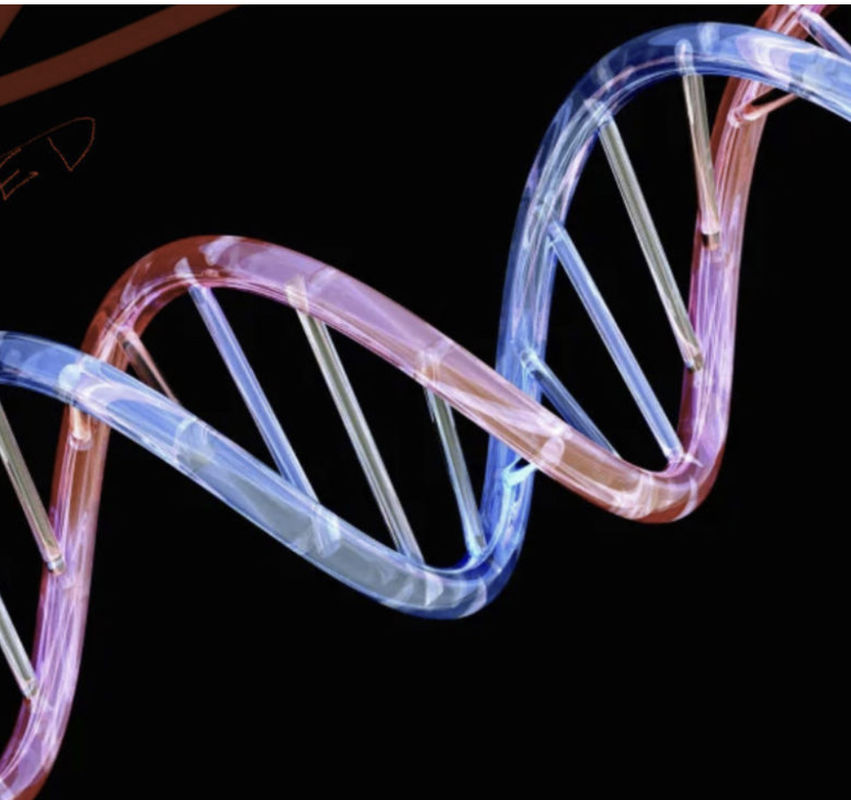 My Genetic Code