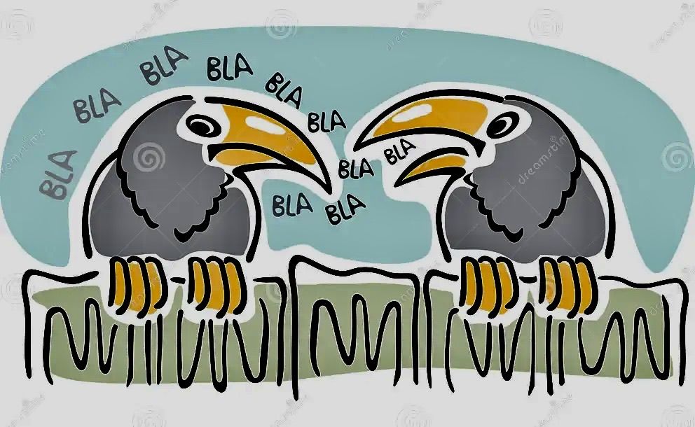 Little Magpies
