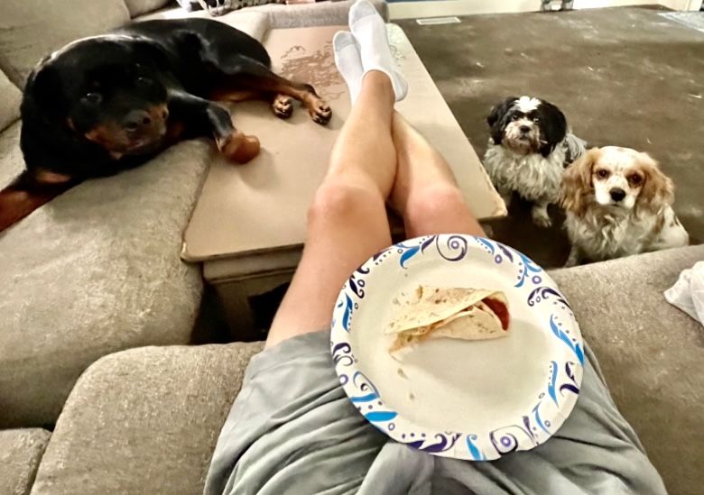 Politely Begging 