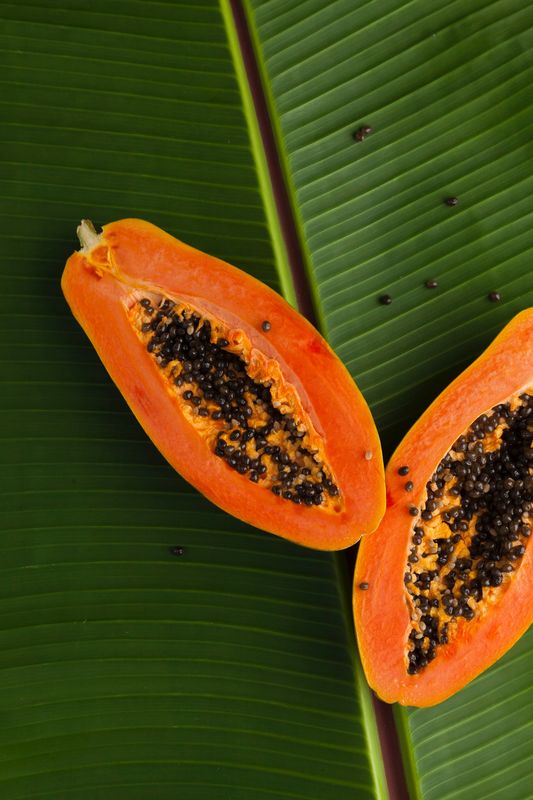 Papaya or Paw Paw