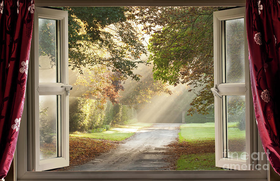 OPEN WINDOW