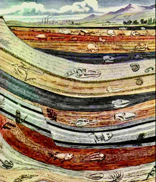 Layers2