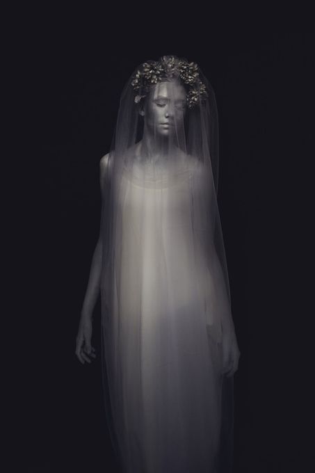 Veil of Silence