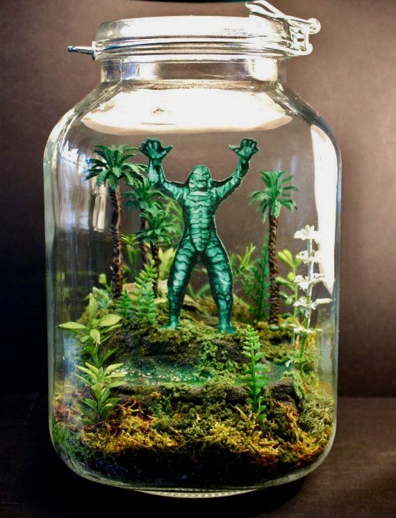 Terrarium Life