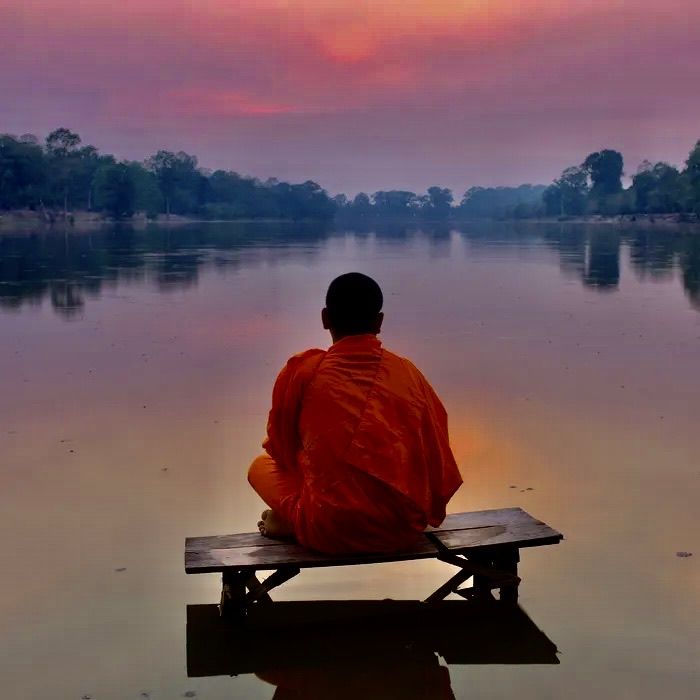 Introspection