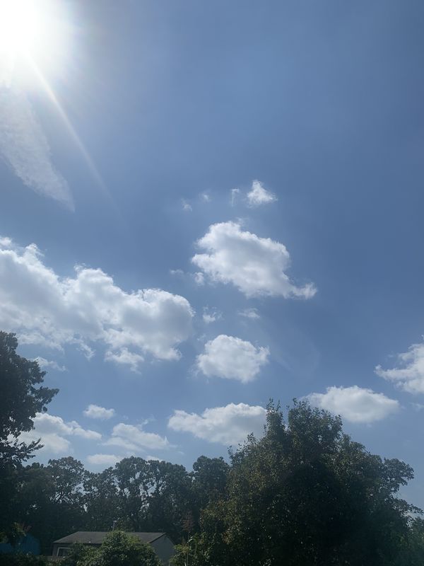 The Sky is Blue