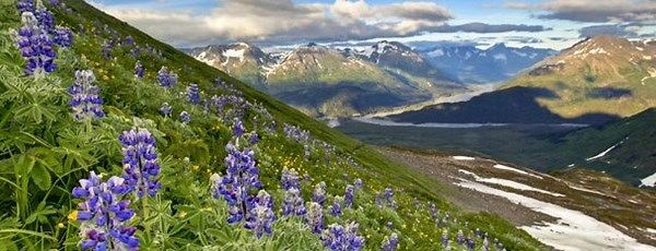 My love for nature