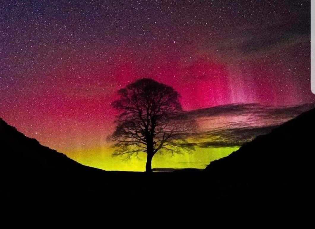 Sycamore Gap