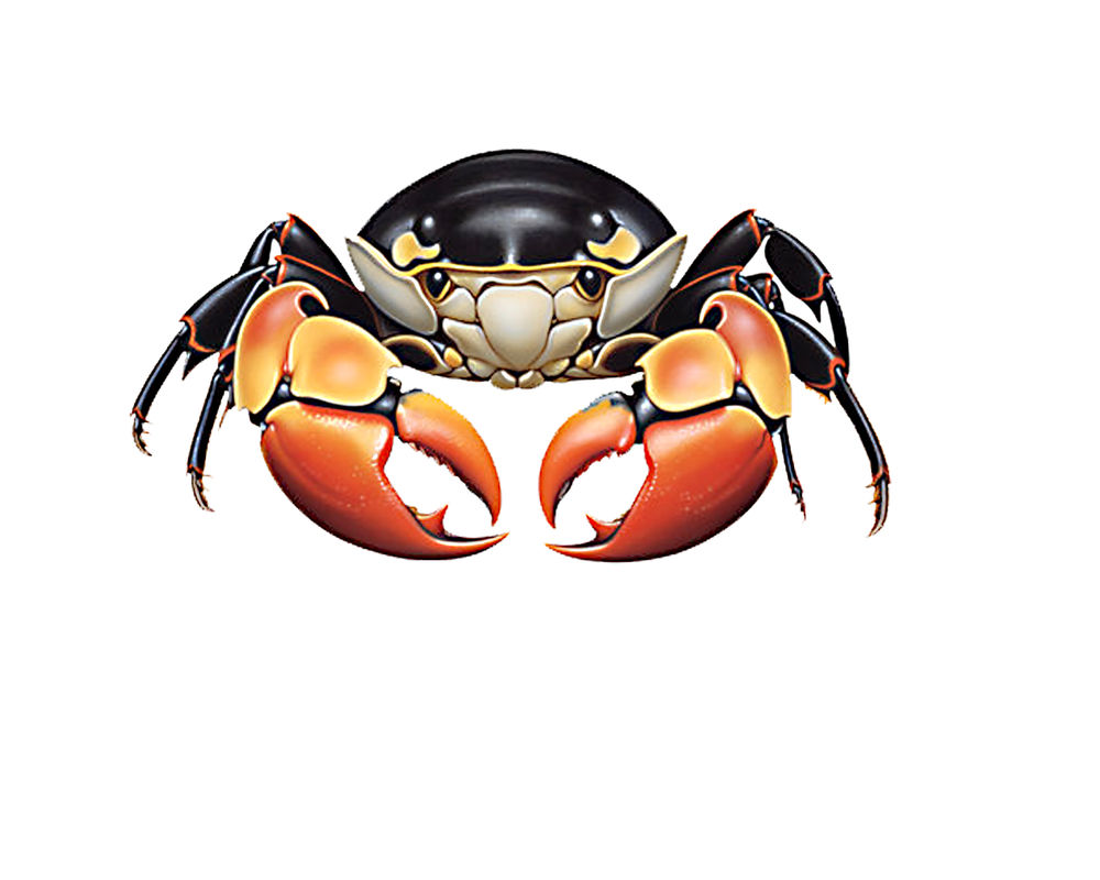 Seasoning Migrations