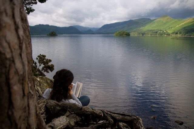 Reading by the lake