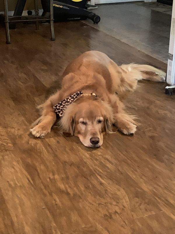 Her Daddy’s Away
