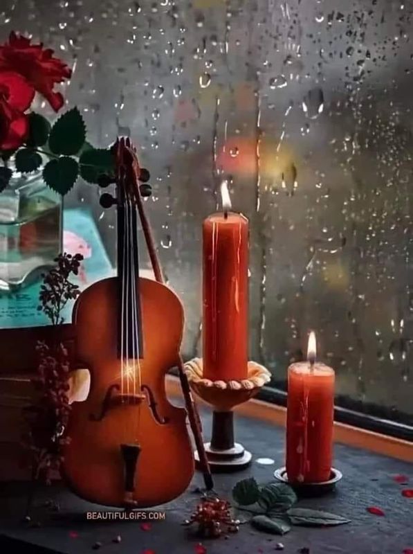 The violin and the candles and the rose