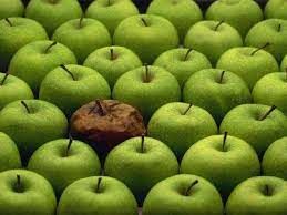Apple Sauce