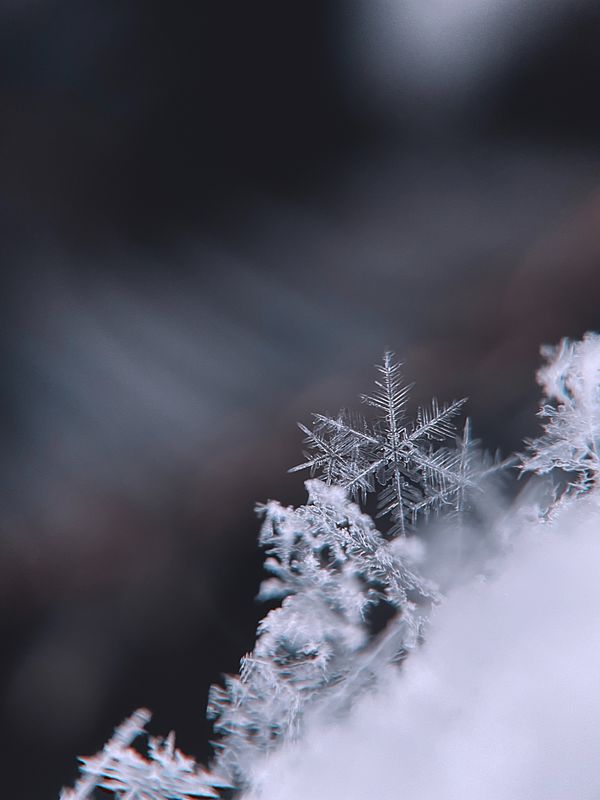 Winters Time For Change