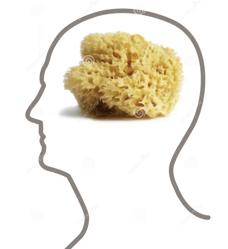 Sponge Brain