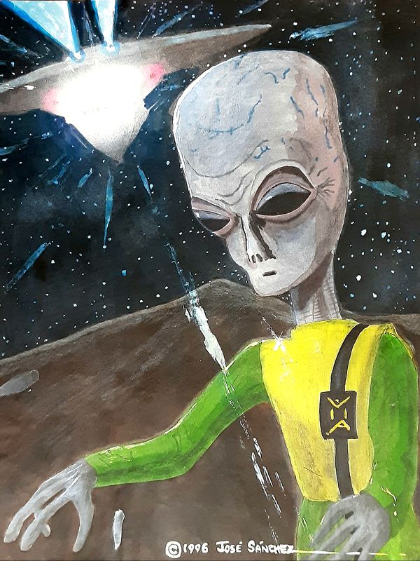 The Visitor