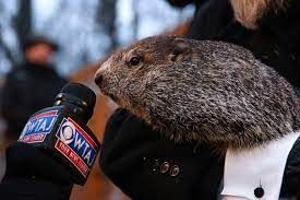 Groundhog day 2024 or Forty one days since 2023 Winter Solstice