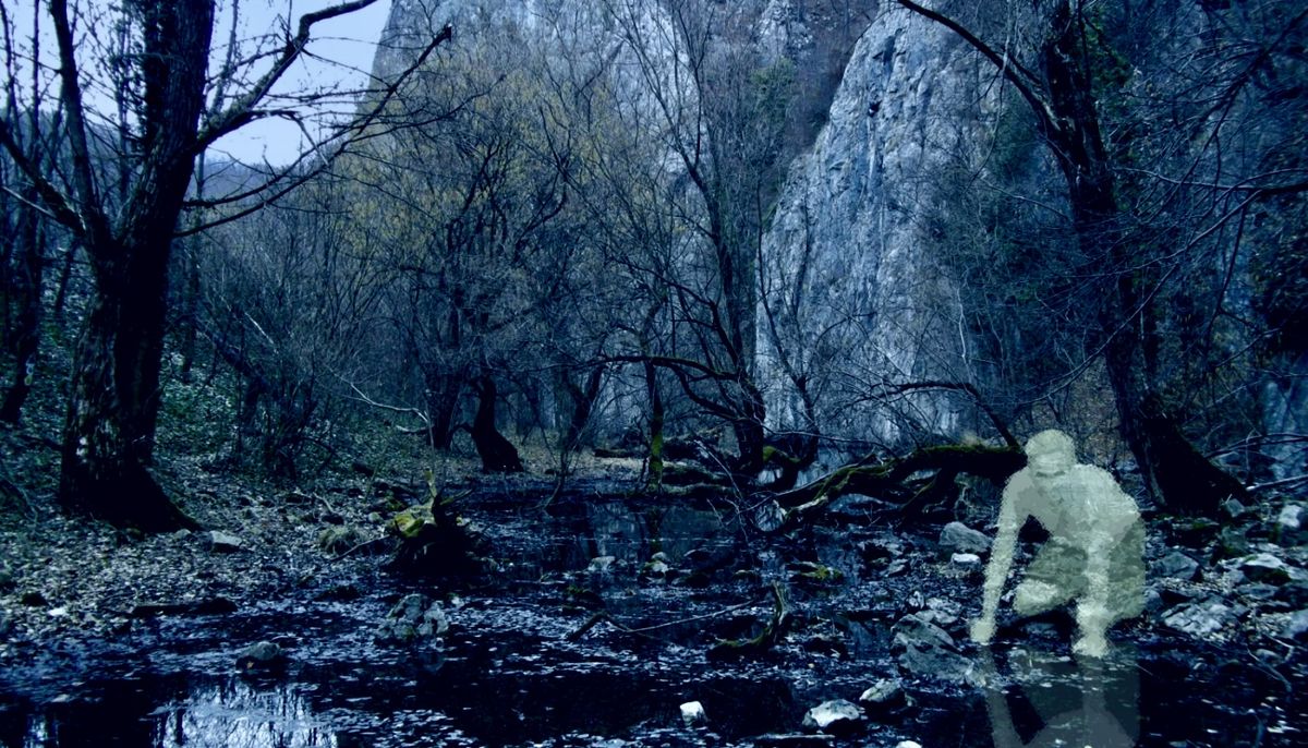 Swamp