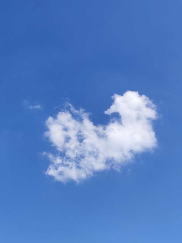 MESSAGE IN THE CLOUD