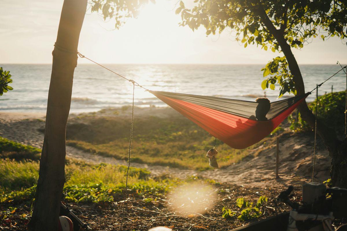 The hammock