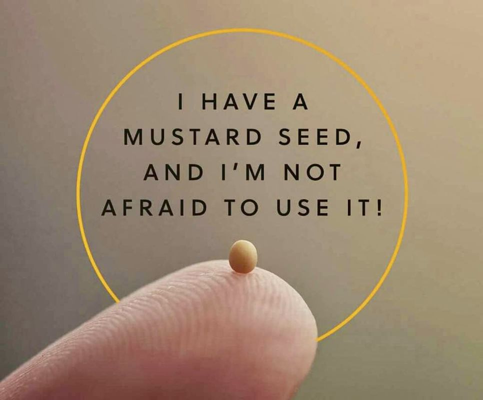 Mustard Seed
