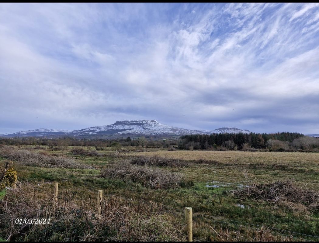 The Hills of Donegal 