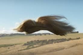 Up up the fly away wig doth go revisited and revised March 10th, 2024...