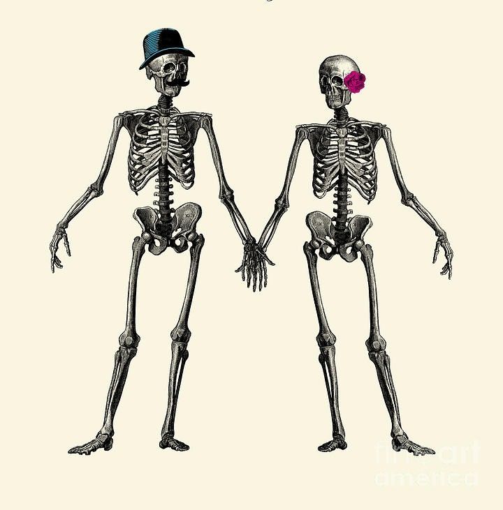 A Very Fine Romance