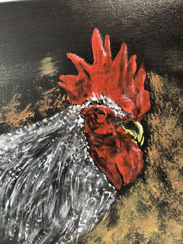Rooster