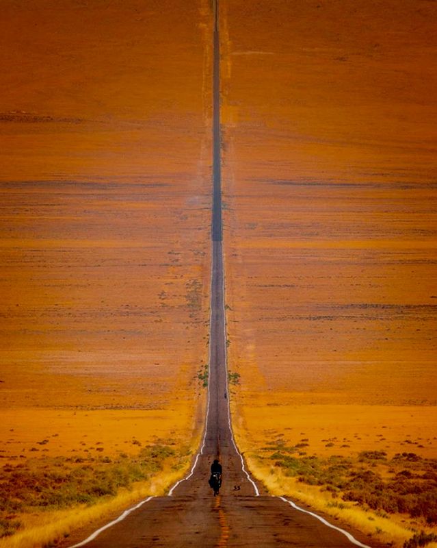 Barren Land